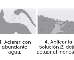 modo de uso de Kangoo Atopic piel sensible perros y gatos