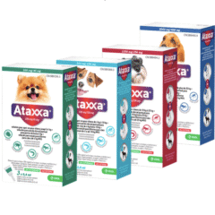 pipetas antiparasitarias perros ATAXXA 3 pipetas