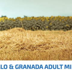 Farmina ND Ancestral GRAIN Pollo Granada perros mini