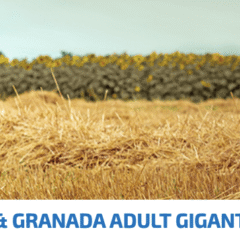 Farmina ND Ancestral Grain Gigante Pollo Granada perros adultos