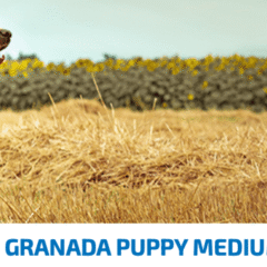 ND PUPPY MediumMaxi Ancestral Pollo Granada cachorros