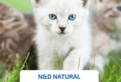 alimento natural para gatos y gatitos Farmina ND Natural