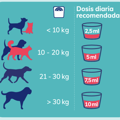 cuidado pelo y piel en perros y gatos nutricarevet pelo piel 250 ml modo de uso
