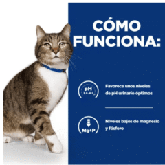 pienso para gatos con cristales de struvita FELINE S/D cómo funciona