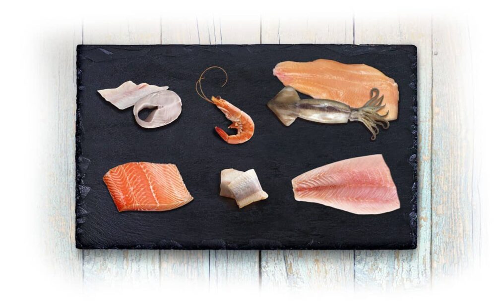 selección de pescados para la alimentación de ND Ocean farmina