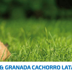 FARMINA ND Prime SIN CEREALES Dog lata pollo granada cachorros