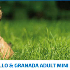 FARMINA ND prime dog mini pollo granada perros adultos razas mini