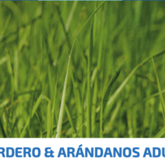 Farmina ND Cat Prime Cordero Arándanos para gatos adultos