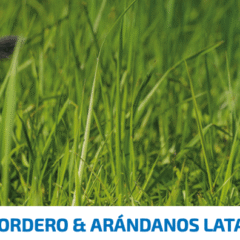 Farmina ND Prime Cat lata cordero arándanos gatos adultos