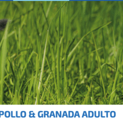 Farmina ND Prime cat pollo granada SIN CEREALES gatos adultos