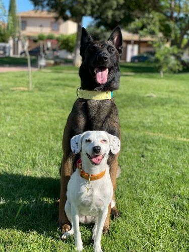 Logan y Bali felices