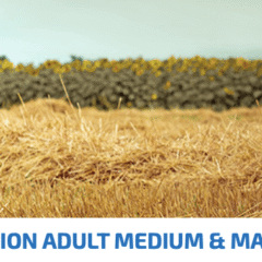 ND Ancestral grain SELECTION MediumMaxi Pollo Granada perros medianos y grandes 12+3 KG 15 kg
