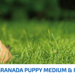 ND Prime Puppy MediumMaxi pollo granada SIN CEREALES cachorros medianos grandes