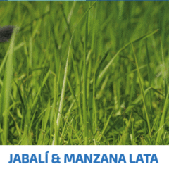 ND Prime SIN CEREALES Cat lata Jabalí Manzana gatos adultos