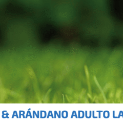 ND Prime dog lata Cordero Arándanos SIN CEREALES perros adultos