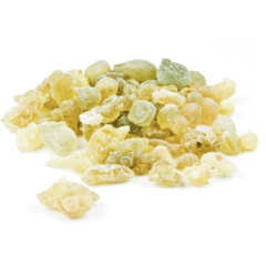 BOSWELIA, Boswellia serrata