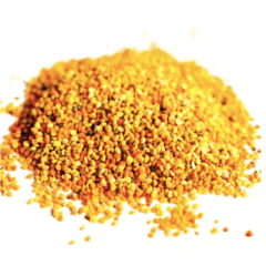 PROPÓLEO, propolis