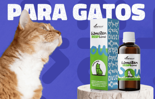 productos para gatos SoriaNatural WowZen