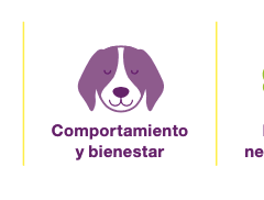 funciones cronicare collar perros gatos