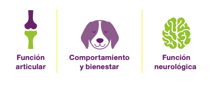 funciones cronicare collar perros gatos