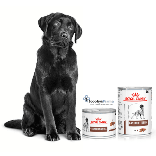 formato de comida en lata gastrointestinal royal canin perros 200 g y 400 g