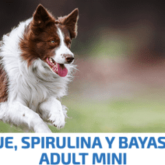 nd espirulina dog mini arenque