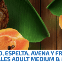 farmina nd tropical dog cordero, espelta, avena y frutas tropicales perros adultos medium maxi