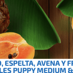 farmina nd tropical puppy medium maxi cordero, espelta, avena y frutas tropicales