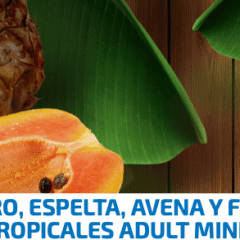 nd tropical selection perros mini cordero espelta avena y frutas tropicales