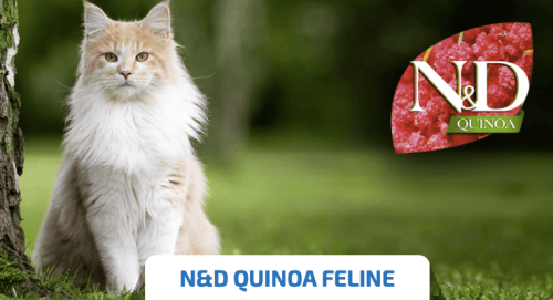 pienso de farmina nd quinoa para gatos
