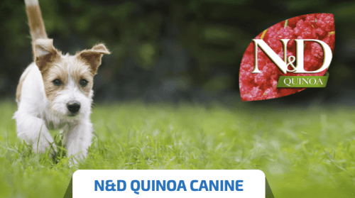 pienso de farmina nd quinoa para perros