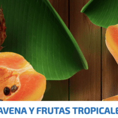 pienso para gatos nd tropical pollo gatos adultos