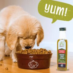 Delicioso aceite de oliva virgen extra para perros PROXPET
