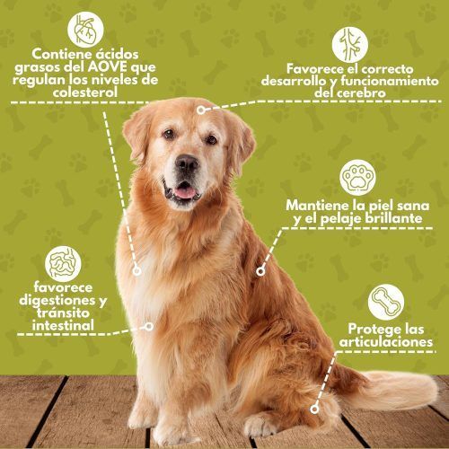 características dosificación del aceite de oliva virgen extra para perros PROXPET