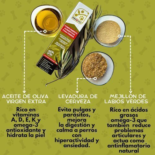 composición del aceite de oliva virgen extra para perros PROXPET