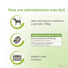 antiparasitario interno natural para perros med:grandes VERMIpure perros 50 comprimidos dosificación