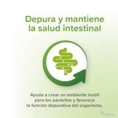 antiparasitario interno natural para perros med:grandes VERMIpure perros 50 comprimidos función