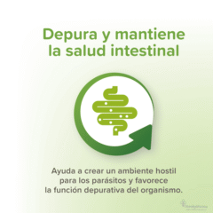 antiparasitario interno natural perros pequños y cachorros VERMIpure 50 comprimidos función