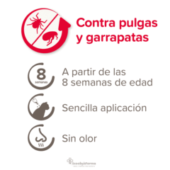 características pipeta antiparasitaria fiprotec spot on gatos