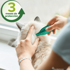 desparasitar externamente a gato con pipetas beaphar spot on