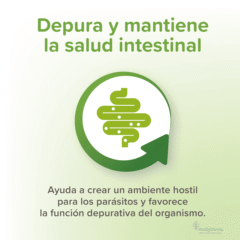 función de VERMIpure antiparasitario natural gatos y gatitos