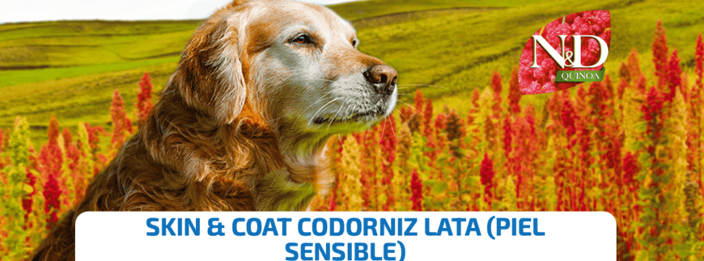 ScoobysFarma