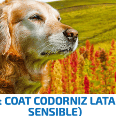 nd quinoa skin coat codorniz lata perros