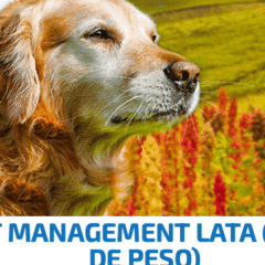 nd quinoa weight management perros