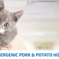 para gatos con alergias alimenticias VetLife Cat HYPOALLERGENIC Cerdo patata