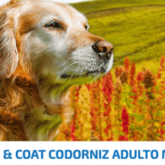 pienso piles sensibles skin coat codorniz perro adulto mini