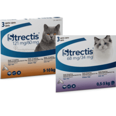 pipetas antiparasitarias para gatos Strectis 3 pipetas
