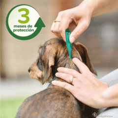 pipetas repelentes perros beaphar spot on 3x1 ml aplicación
