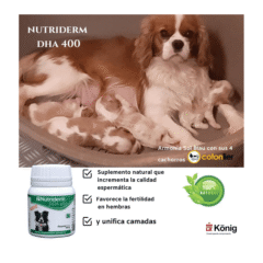 ácidos grasos DHA para perros Nutriderm DHA 400