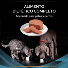 alimento húmedo para perros gatos convalecientes purina proplan convalescence